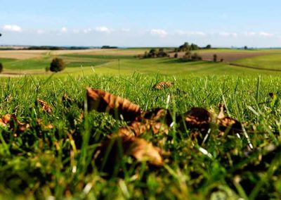 Ferienwohnung Lescher – Herbststimmung